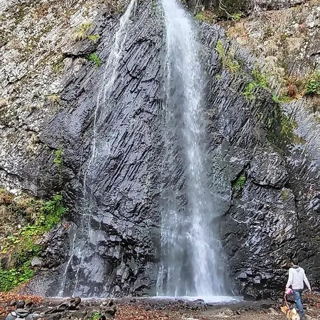 Appartement Dore Confort, 2 Pieces, 4 Personnes Le Mont-Dore